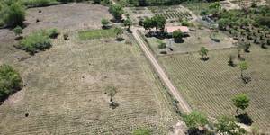 Unveil 8a21a6f614db065bb1ca2c21a5c803aede783f93e5277febbd47f37d9dbae4ca