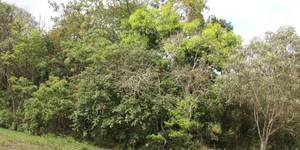 Unveil 8a21a6f614db065bb1ca2c21a5c803aede783f93e5277febbd47f37d9dbae4ca