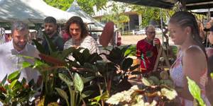 Unveil 8a21a6f614db065bb1ca2c21a5c803aede783f93e5277febbd47f37d9dbae4ca