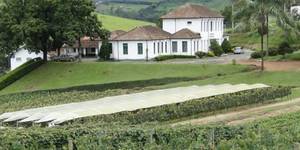 Unveil 8a21a6f614db065bb1ca2c21a5c803aede783f93e5277febbd47f37d9dbae4ca