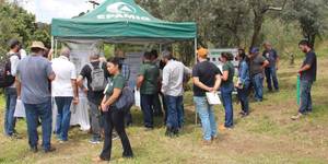 Unveil 8a21a6f614db065bb1ca2c21a5c803aede783f93e5277febbd47f37d9dbae4ca