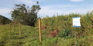 Unveil 8a21a6f614db065bb1ca2c21a5c803aede783f93e5277febbd47f37d9dbae4ca