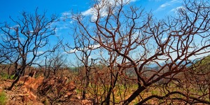 Unveil 8a21a6f614db065bb1ca2c21a5c803aede783f93e5277febbd47f37d9dbae4ca