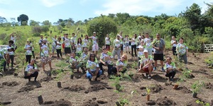 Unveil 8a21a6f614db065bb1ca2c21a5c803aede783f93e5277febbd47f37d9dbae4ca