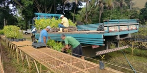 Unveil 8a21a6f614db065bb1ca2c21a5c803aede783f93e5277febbd47f37d9dbae4ca