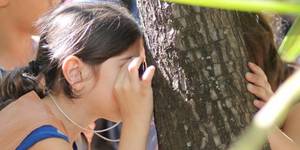 Unveil 8a21a6f614db065bb1ca2c21a5c803aede783f93e5277febbd47f37d9dbae4ca