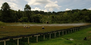 Unveil 8a21a6f614db065bb1ca2c21a5c803aede783f93e5277febbd47f37d9dbae4ca