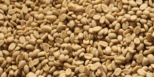 Unveil 8a21a6f614db065bb1ca2c21a5c803aede783f93e5277febbd47f37d9dbae4ca