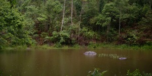 Unveil 8a21a6f614db065bb1ca2c21a5c803aede783f93e5277febbd47f37d9dbae4ca