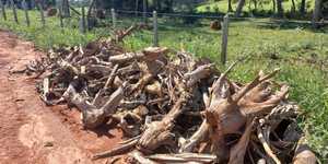 Unveil 8a21a6f614db065bb1ca2c21a5c803aede783f93e5277febbd47f37d9dbae4ca