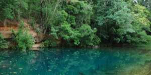 Unveil 8a21a6f614db065bb1ca2c21a5c803aede783f93e5277febbd47f37d9dbae4ca