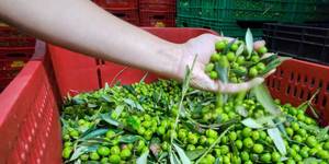 Unveil 8a21a6f614db065bb1ca2c21a5c803aede783f93e5277febbd47f37d9dbae4ca