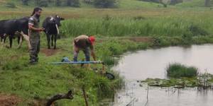 Unveil 8a21a6f614db065bb1ca2c21a5c803aede783f93e5277febbd47f37d9dbae4ca