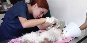 Unveil 8a21a6f614db065bb1ca2c21a5c803aede783f93e5277febbd47f37d9dbae4ca