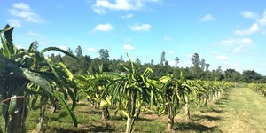 Unveil 8a21a6f614db065bb1ca2c21a5c803aede783f93e5277febbd47f37d9dbae4ca