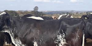 Unveil 8a21a6f614db065bb1ca2c21a5c803aede783f93e5277febbd47f37d9dbae4ca