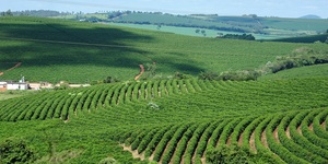 Unveil 8a21a6f614db065bb1ca2c21a5c803aede783f93e5277febbd47f37d9dbae4ca