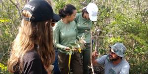 Unveil 8a21a6f614db065bb1ca2c21a5c803aede783f93e5277febbd47f37d9dbae4ca