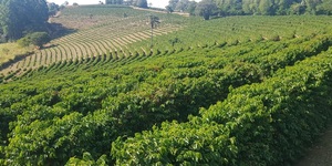 Unveil 8a21a6f614db065bb1ca2c21a5c803aede783f93e5277febbd47f37d9dbae4ca