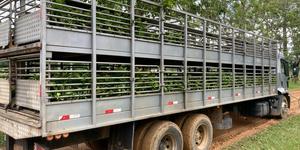 Unveil 8a21a6f614db065bb1ca2c21a5c803aede783f93e5277febbd47f37d9dbae4ca