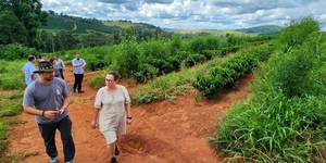 Unveil 8a21a6f614db065bb1ca2c21a5c803aede783f93e5277febbd47f37d9dbae4ca