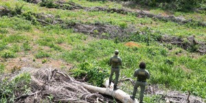 Unveil 8a21a6f614db065bb1ca2c21a5c803aede783f93e5277febbd47f37d9dbae4ca