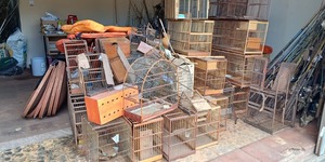 Unveil 8a21a6f614db065bb1ca2c21a5c803aede783f93e5277febbd47f37d9dbae4ca