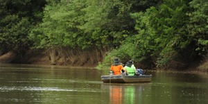 Unveil 8a21a6f614db065bb1ca2c21a5c803aede783f93e5277febbd47f37d9dbae4ca