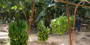 Unveil 8a21a6f614db065bb1ca2c21a5c803aede783f93e5277febbd47f37d9dbae4ca