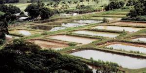 Unveil 8a21a6f614db065bb1ca2c21a5c803aede783f93e5277febbd47f37d9dbae4ca