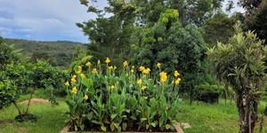 Unveil 8a21a6f614db065bb1ca2c21a5c803aede783f93e5277febbd47f37d9dbae4ca