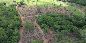 Unveil 8a21a6f614db065bb1ca2c21a5c803aede783f93e5277febbd47f37d9dbae4ca