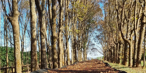 Unveil 8a21a6f614db065bb1ca2c21a5c803aede783f93e5277febbd47f37d9dbae4ca