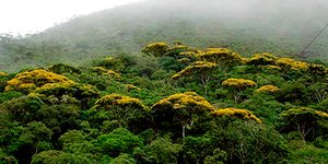 Unveil 8a21a6f614db065bb1ca2c21a5c803aede783f93e5277febbd47f37d9dbae4ca