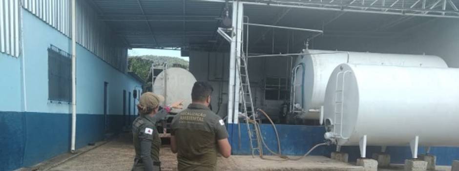 imagem de destaque