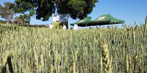 Unveil 8a21a6f614db065bb1ca2c21a5c803aede783f93e5277febbd47f37d9dbae4ca