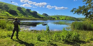 Unveil 8a21a6f614db065bb1ca2c21a5c803aede783f93e5277febbd47f37d9dbae4ca