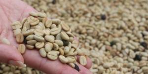 Unveil 8a21a6f614db065bb1ca2c21a5c803aede783f93e5277febbd47f37d9dbae4ca