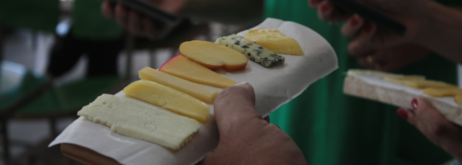 Curso ensina a ciência por trás dos queijos artesanais mineiros