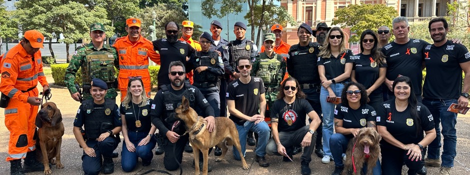 imagem de destaque