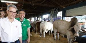 Unveil 8a21a6f614db065bb1ca2c21a5c803aede783f93e5277febbd47f37d9dbae4ca