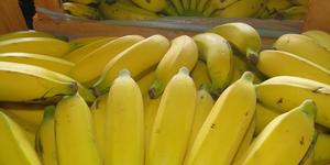 Unveil 8a21a6f614db065bb1ca2c21a5c803aede783f93e5277febbd47f37d9dbae4ca