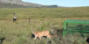 Unveil 8a21a6f614db065bb1ca2c21a5c803aede783f93e5277febbd47f37d9dbae4ca