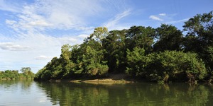 Unveil 8a21a6f614db065bb1ca2c21a5c803aede783f93e5277febbd47f37d9dbae4ca