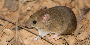 Unveil 8a21a6f614db065bb1ca2c21a5c803aede783f93e5277febbd47f37d9dbae4ca