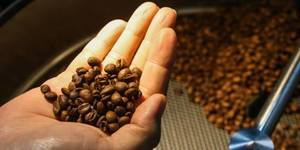 Unveil 8a21a6f614db065bb1ca2c21a5c803aede783f93e5277febbd47f37d9dbae4ca