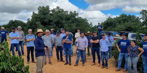 Unveil 8a21a6f614db065bb1ca2c21a5c803aede783f93e5277febbd47f37d9dbae4ca