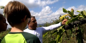 Unveil 8a21a6f614db065bb1ca2c21a5c803aede783f93e5277febbd47f37d9dbae4ca