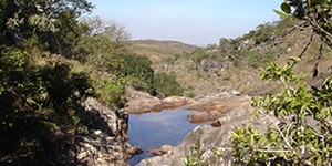 Unveil 8a21a6f614db065bb1ca2c21a5c803aede783f93e5277febbd47f37d9dbae4ca