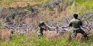 Unveil 8a21a6f614db065bb1ca2c21a5c803aede783f93e5277febbd47f37d9dbae4ca